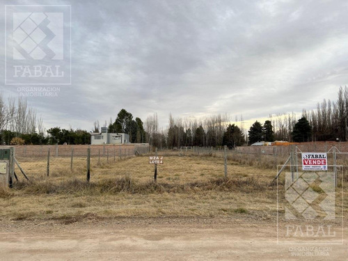 Imagen 2 de 3 de Terreno Venta Los Castaños, Plottier, De 600 M2 En Barrio Abierto