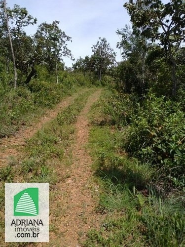 Venda Chácara De Lazer Com Área De 24.000 M² Com Nascente Dágua - 5901
