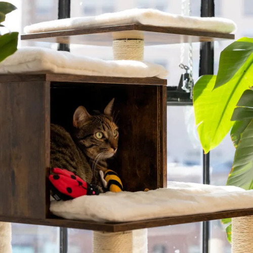 Peluche Para Gato En Forma De Catarina Y Abeja Con Catnip