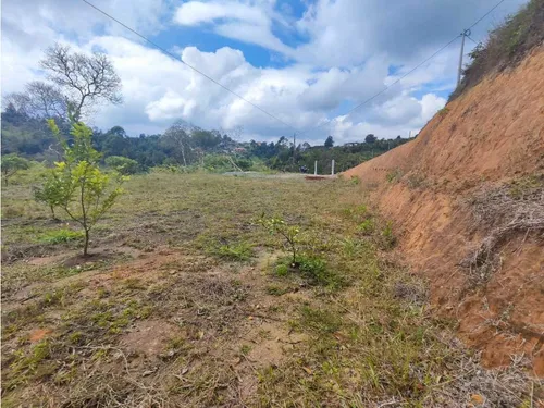 Lote En Rionegro Vereda La Playa
