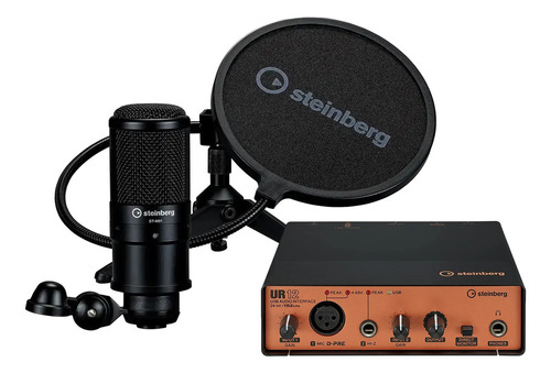 Pack Podcast Steinberg Ur12b Placa Mic Auricular Grabacion Color Negro