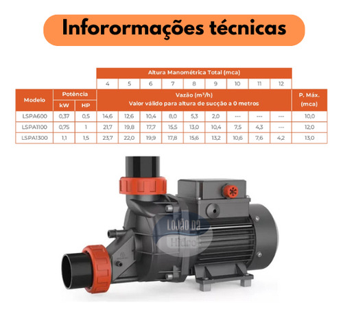 Bomba De Hidromassagem Lspa 600 Lepono De 1/2 Cv 220v P/ Spa