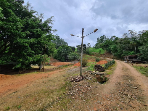 Imagem 7 de 13 de Belíssimo Sítio Localizado Em Pomerode, Bairro Ribeirão Souto, Com Área De 49.000 Metros Quadrados, Nascente De Água Dentro Do Terreno, Casa De Madeira, Galpão, Rancho Para Gado, Totalmente Cercad