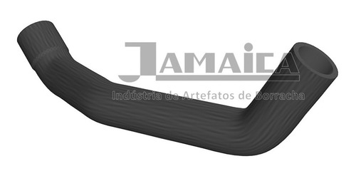 Mangueira Jamaica J7600