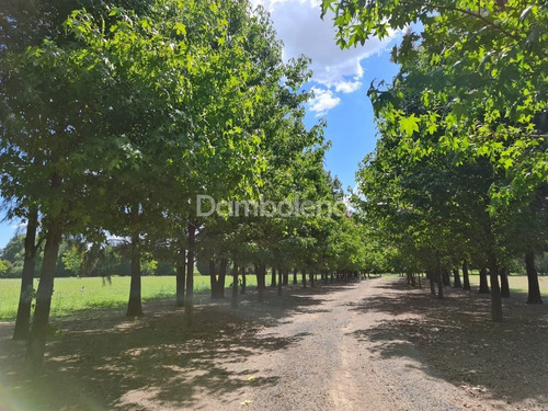Imagen 19 de 28 de Terreno Fraccion En Venta Ubicado En General Rodríguez, G.b.a. Zona Oeste