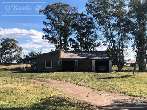 Imagen 5 de 29 de Campo Ganadero De 4300 Has - Sobre Ruta - Potencial Parque Eolico - Bahia Blanca