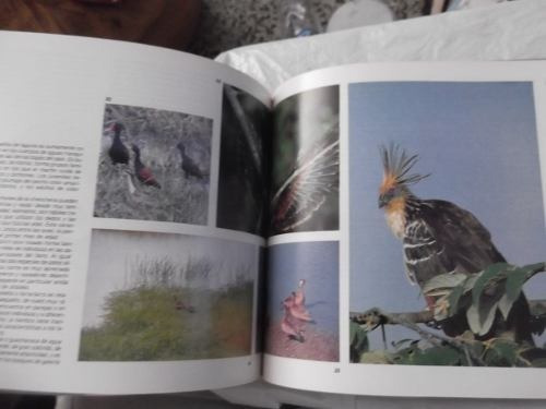Imagen 5 de 6 de Las Aves Acuaticas Del Alto Apure Gonzalo Morales Ilustrado