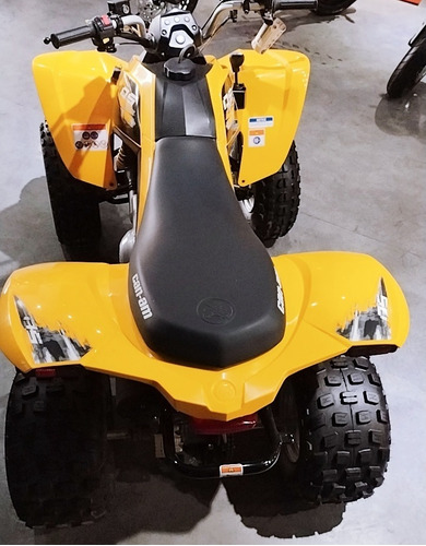 Imagen 9 de 15 de Can Am Ds 250 0km En Automoto Lanus