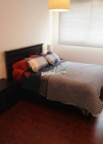 Imagen 5 de 9 de Venta Apartamento 1 Dormitorio Con Renta Balcon Tres Cruces