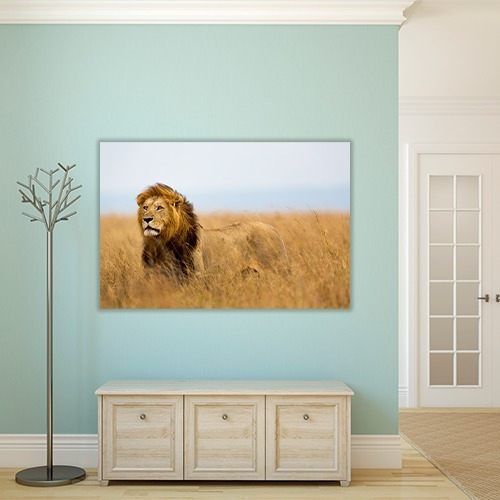 Cuadro Decorativo Animales Canvas Leon Poderoso Felino