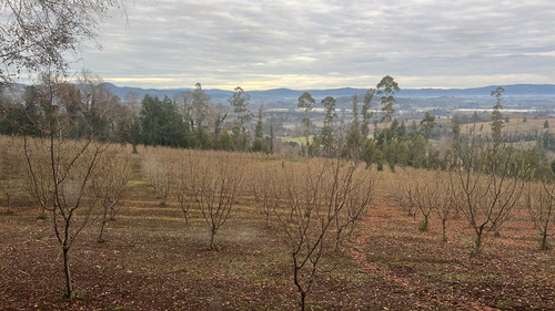 Agrícola En Venta En Gorbea