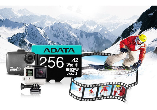 Tarjeta de memoria Adata AUSDX256GUI3V30SA2-RA1 Premier Pro con adaptador SD 256GB
