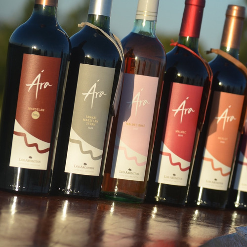 Vino Ara Malbec - Año 2021 - Bodegas Los Aromitos