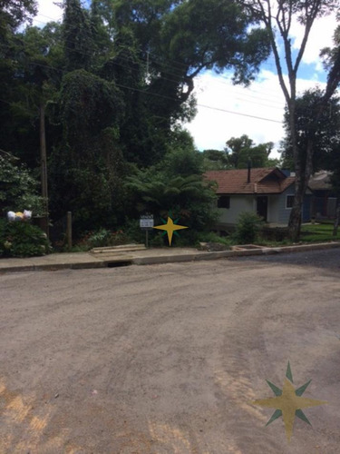 Imagem 2 de 3 de Terreno Em Canela - 321