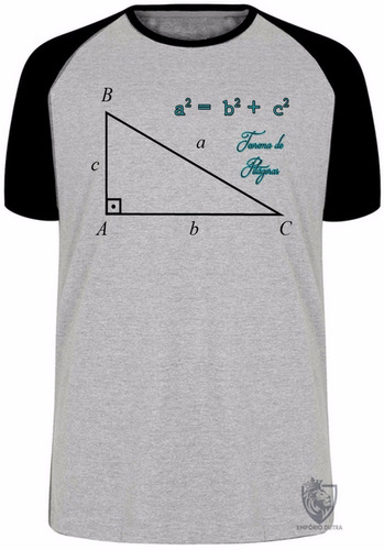 Camiseta Plus Size Teorema Pitágoras Matematica Professor