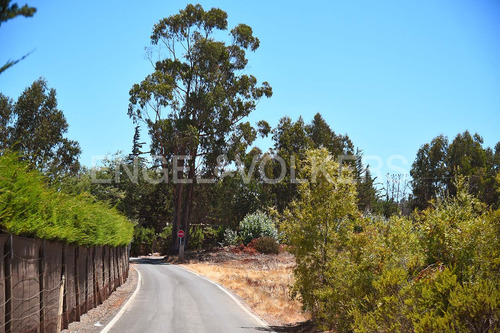 Arriendo Casa En Parque Nativo