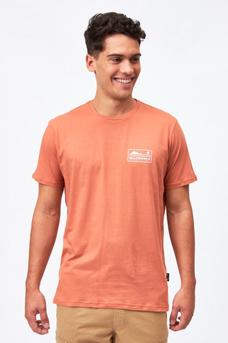 Remera Hombre Billabong Range