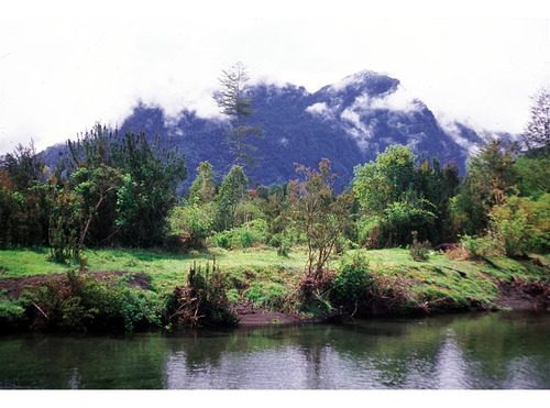 Agrícola En Venta En Hualaihue