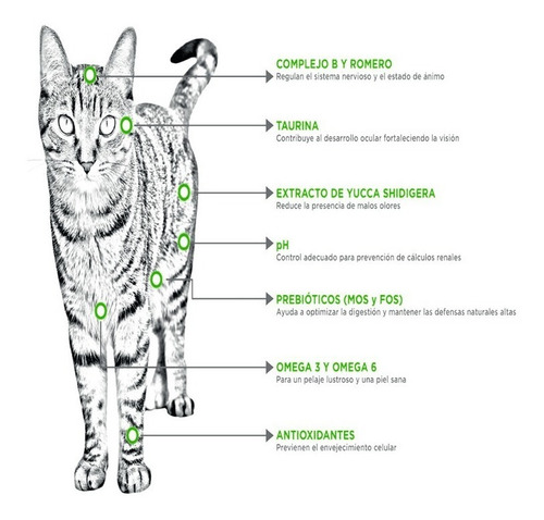 Imagen 5 de 6 de Croquetas Para Gato Nupec Felino Indoor 3kg