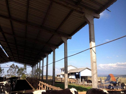 Imagem 3 de 15 de Chácara Para Venda Em Carambeí, Catanduva, 10 Dormitórios, 1 Suíte - Ch0010-ta_1-1127847