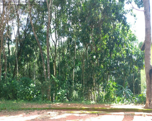 Imagem 6 de 6 de Terreno - Te00150 - 69379256