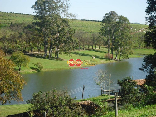 Imagem 21 de 23 de Fazenda - Município Amparo-sp/ Pedreira-sp - Fa0028