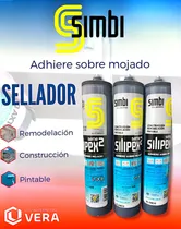 Comprar Silicon Silipex Serie 2 Húmedo\u002Fseco 290cc