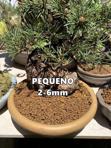Imagem 6 de 6 de Akadama Japonesa 1 Litro Pequeno Substrato Bonsai