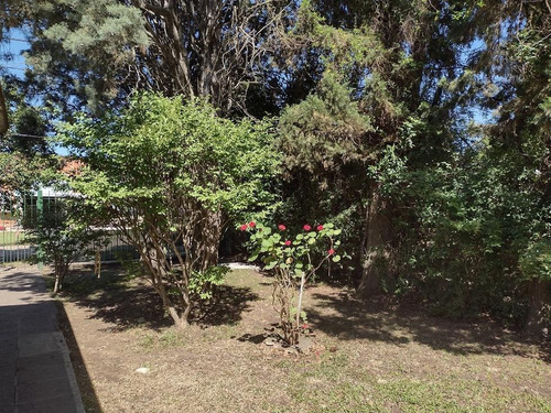 Imagen 8 de 17 de Venta Quinta Tortuguitas Parque Alvear Ii