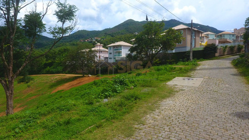 Imagem 7 de 12 de Lotes Exclusivos No Cônego - Lote 07 - 250