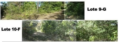Imagen 1 de 3 de Se Venden Dos Terrenos, Zitacuaro