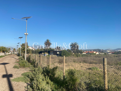 Paño Plano, Los Membrillos C/ Avda Pacif (94088)