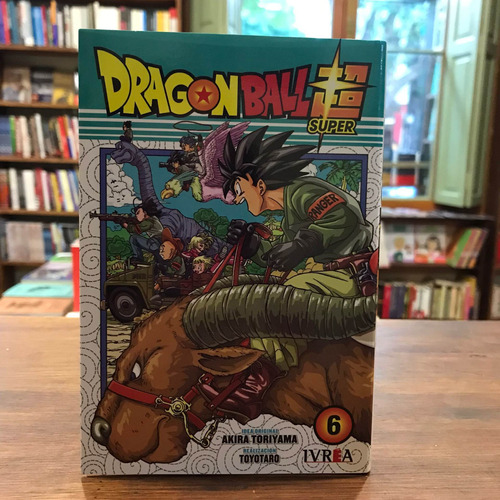 Super Dragon Ball #6