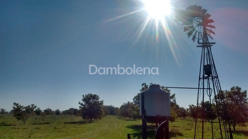 Imagen 6 de 25 de Terreno En Venta O Permuta Ubicado En Punta Indio, Resto De La Provincia