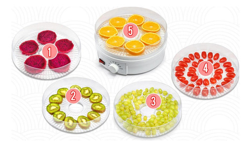 Secador De Carne De Frutas, Deshidratador Para Alimentos,