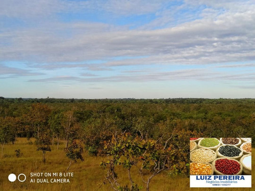 Imagem 2 de 15 de Fazenda Em Divinópolis - To - 136 Alqueirões (pecuária) - 1382