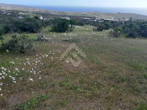Parcela En Venta Estancia El Arrayan En La Serena