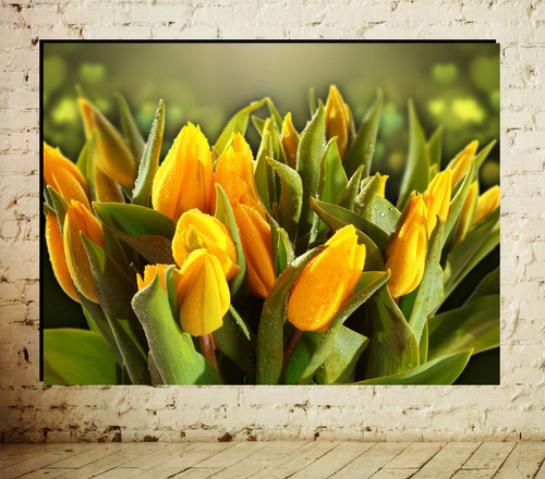 Cuadro Decorativo Tulipanes No 4