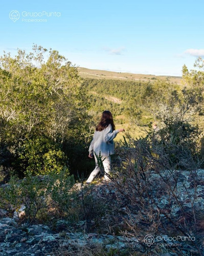 Imagen 6 de 15 de Chacras Financiadas En Minas Lavalleja