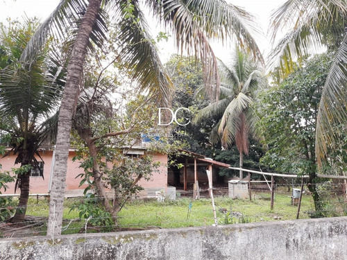 Imagem 6 de 14 de Terreno - Te00121 - 69864315