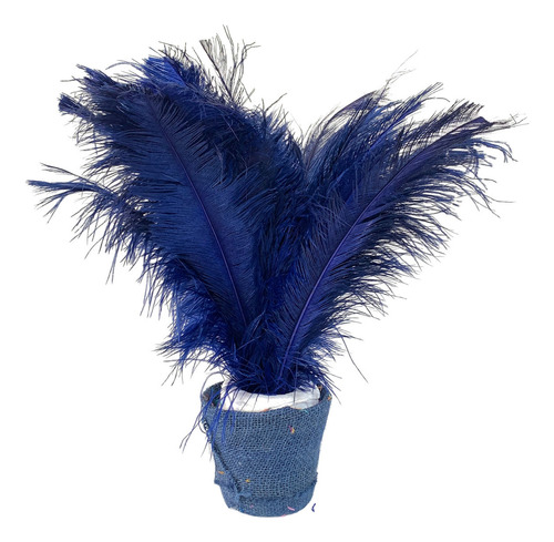 Plumas De Avestruz Palito Ideal P/ Trajes De Carnaval 100g Cor Azul-marinho