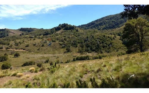 Parcela Lonquimay 1,4 Ha