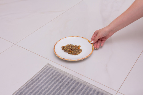 Ração Úmida Au&miau Risotopet Baixo Fósforo (cães)