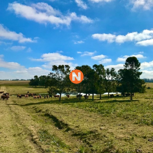 Imagen 6 de 18 de Chacra Del Haras De Medellin 1 - Jose Ignacio La Juanita