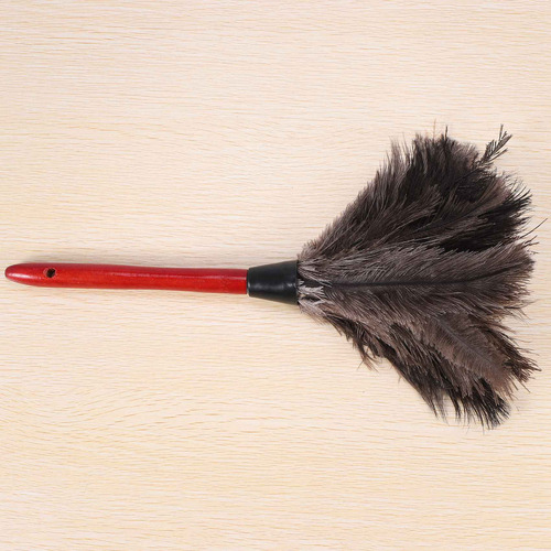 Aspas De Ventilador For Limpiar Plumas De Avestruz, De Vari