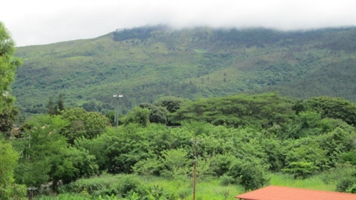 Imagen 11 de 21 de Terreno Con Proyecto Comercial Aprobado 5.917m2 Código 139296 Vende Yackeline Tovar 04145831984