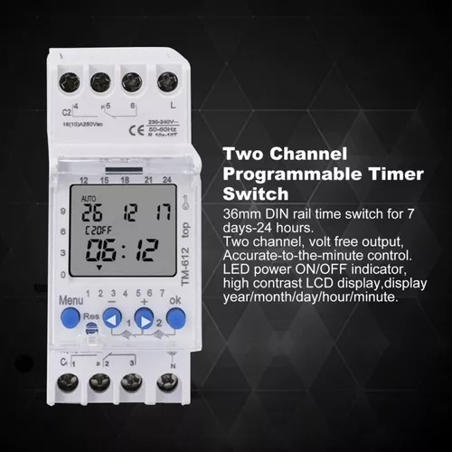 Temporizador Digital Sinotimer 1 Canal Riel Din TM611