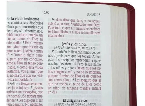 Biblia Nueva Version Internacional Letra Grande Vino
