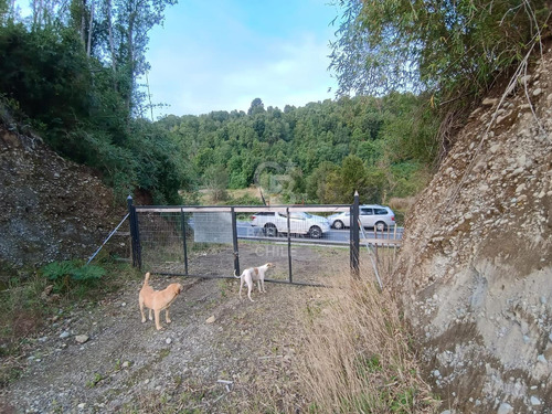 Espectacular Comercial Con Acceso Carretera Y Río