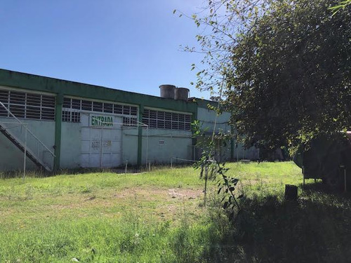 Local Venta Merlo